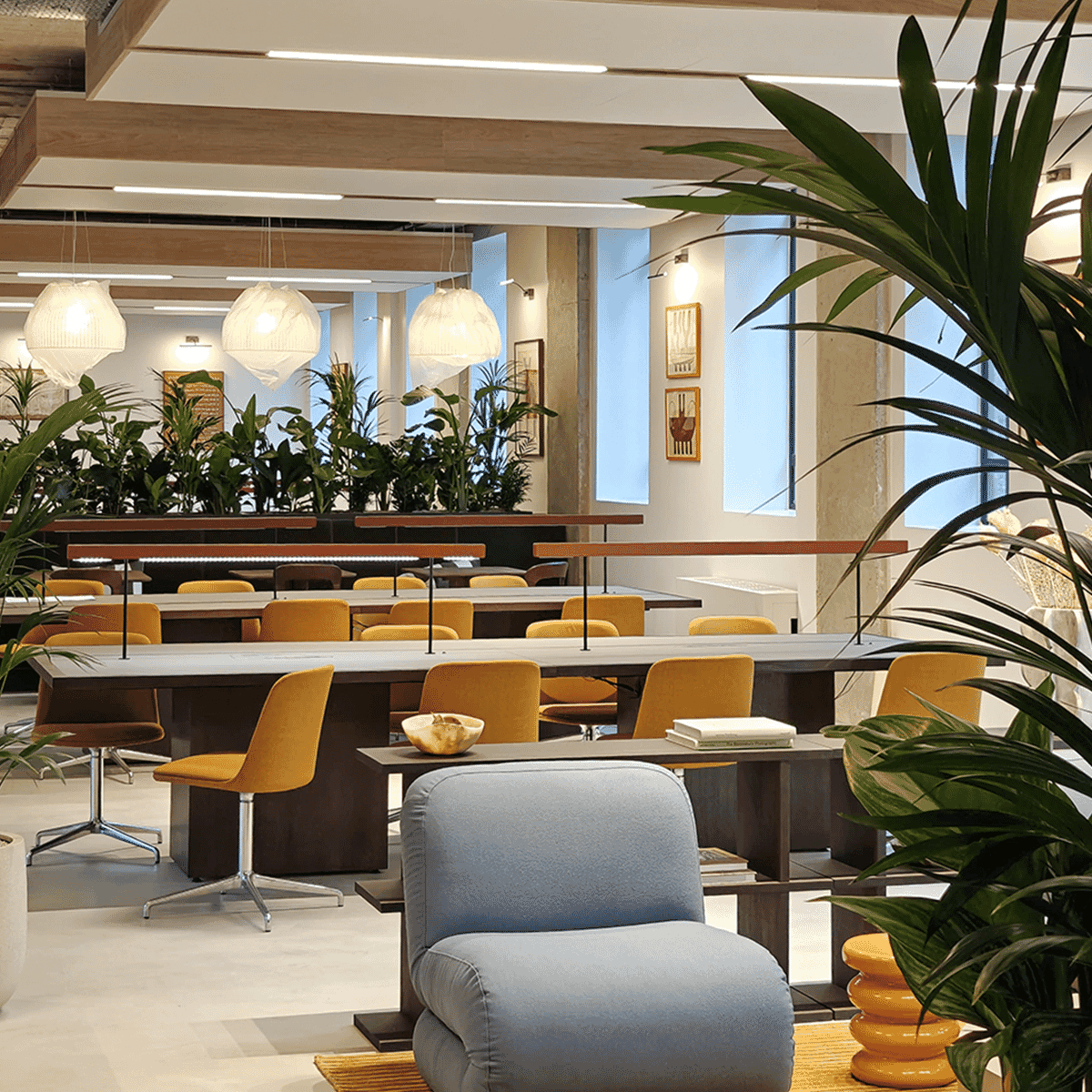 21243 Autex Horizon Office (3)
