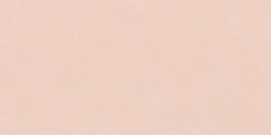 102-Shellpink