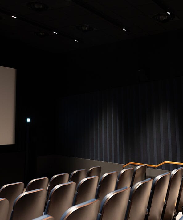 Cinema-Acoustic-Panels---page-Image