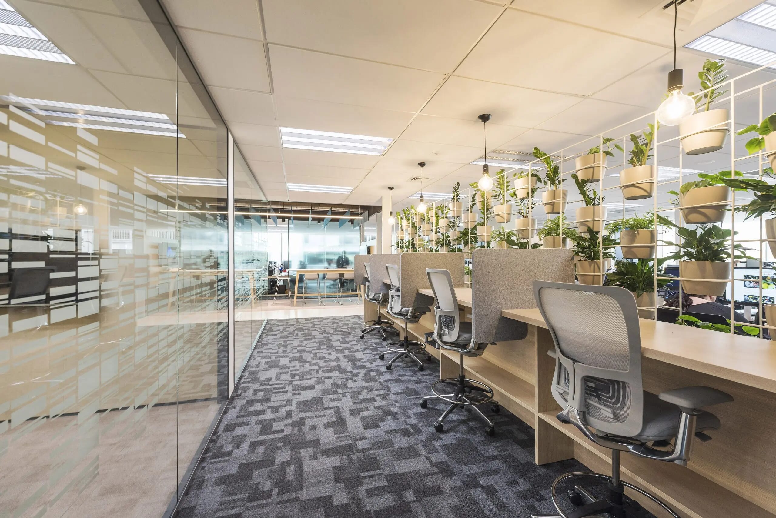 Cove_Gallery_1-scaled-1