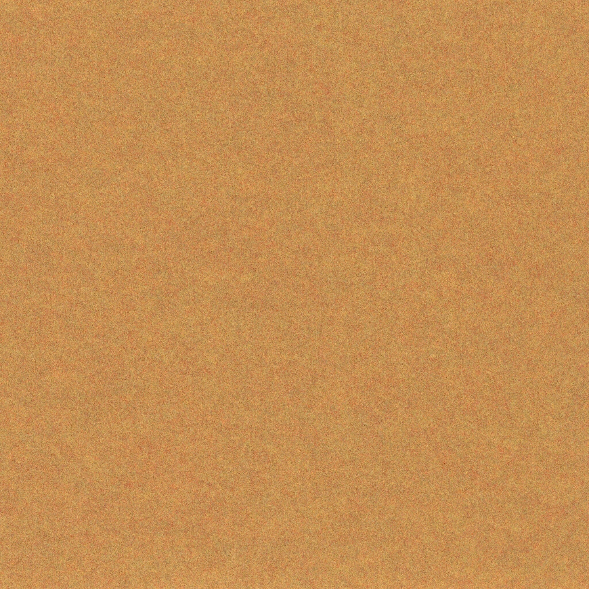 FilaSorb-Tumeric-TU60-2