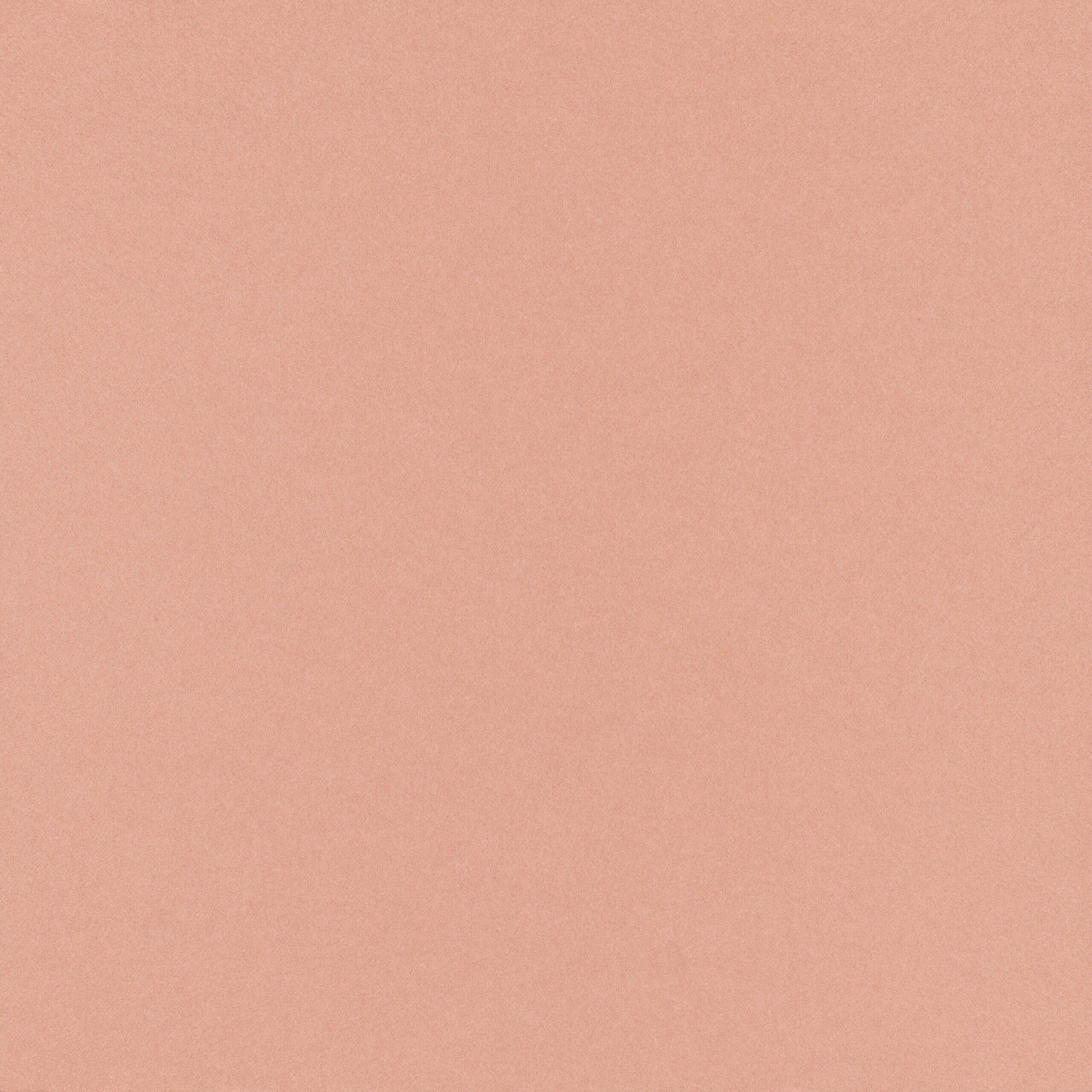 Flamingo-FL61-scaled-1