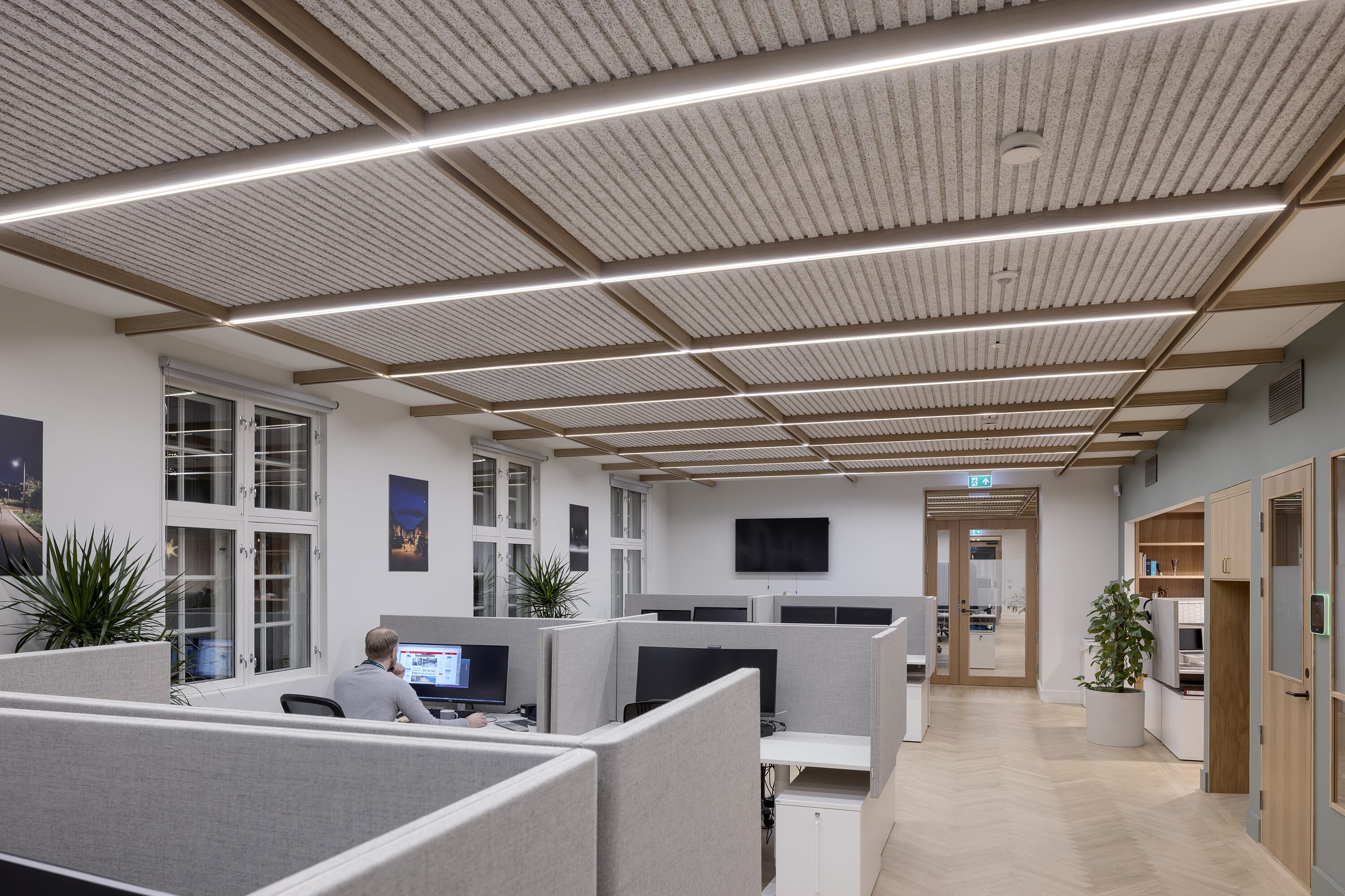 Troldtekt line_office_01