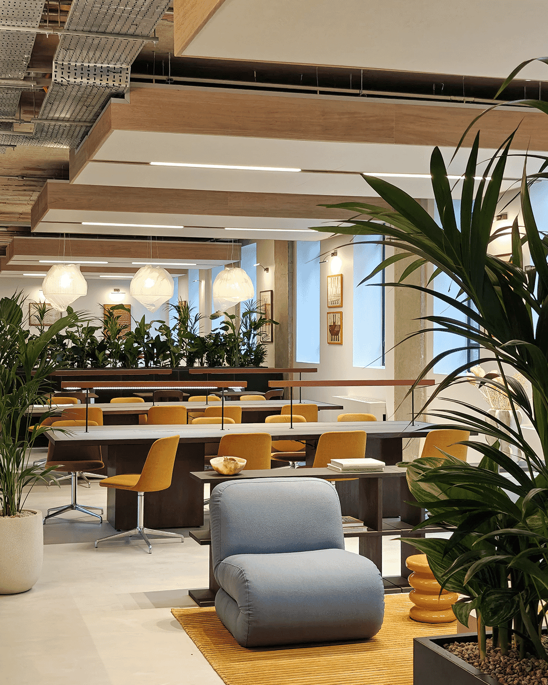 21243 Autex Horizon Office (2)