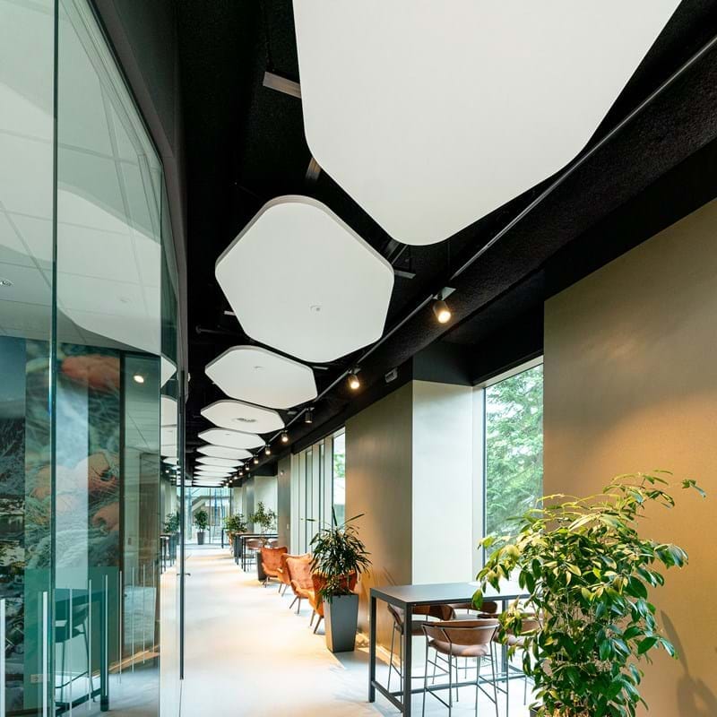 Ecophon-Solo-Freedom-1