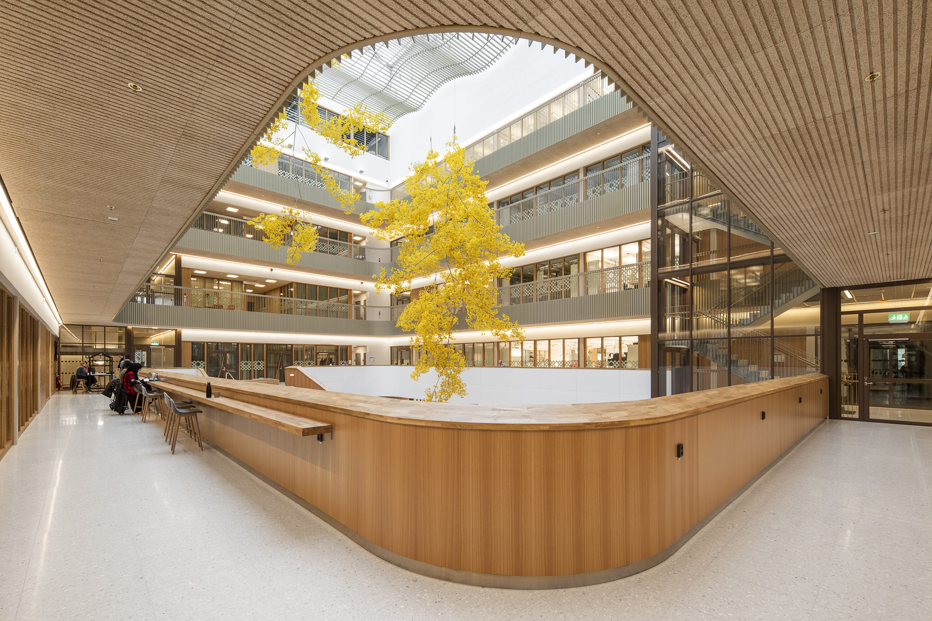 Troldtekt-line_University