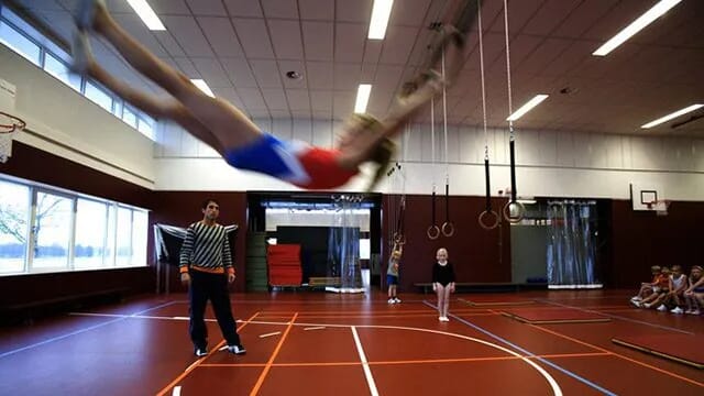 acoustic_ceiling_panels_in_sports_hall