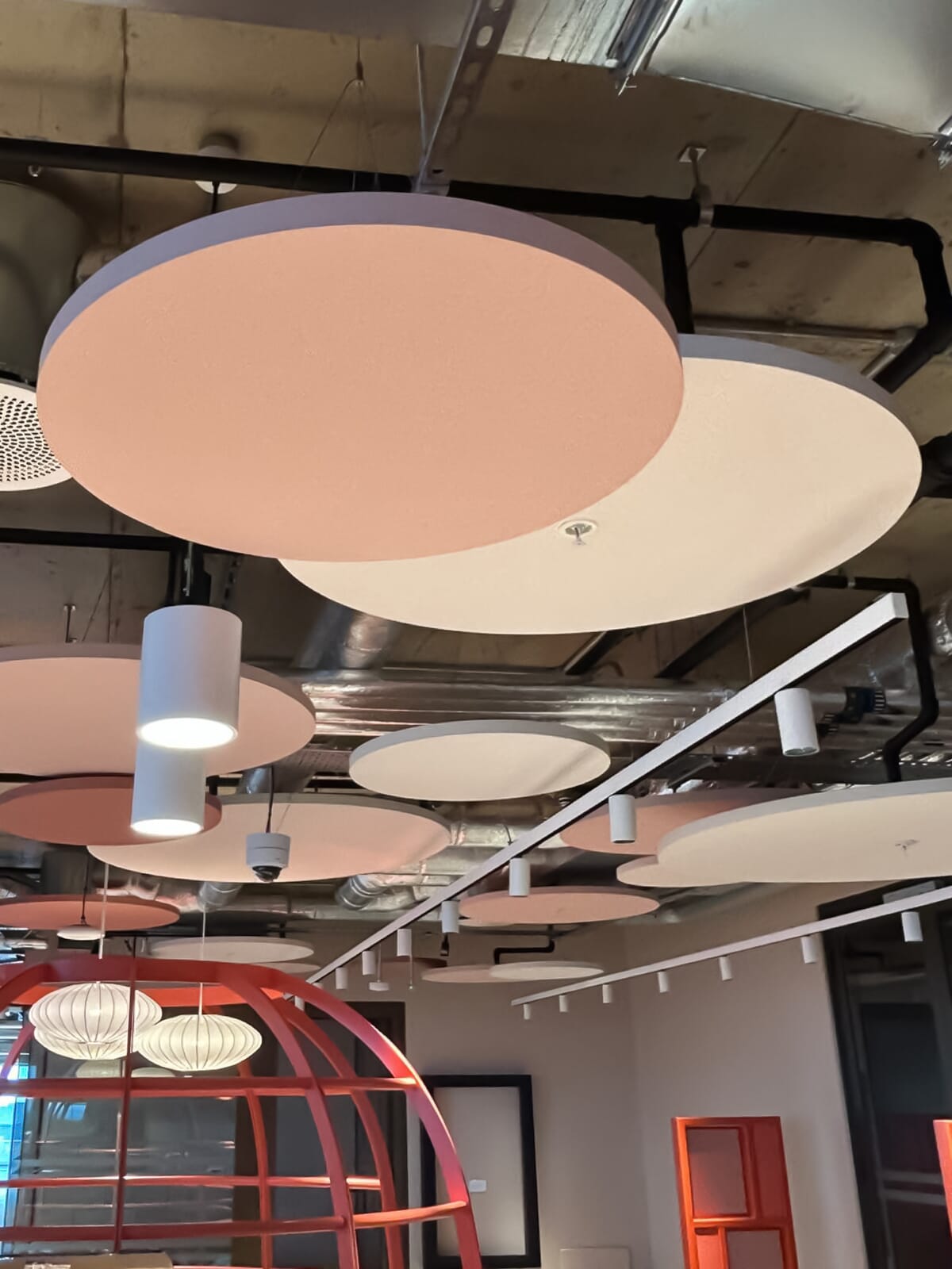 Ecophon Solo Circle acoustic panels installed on the ceiling of an open-plan office