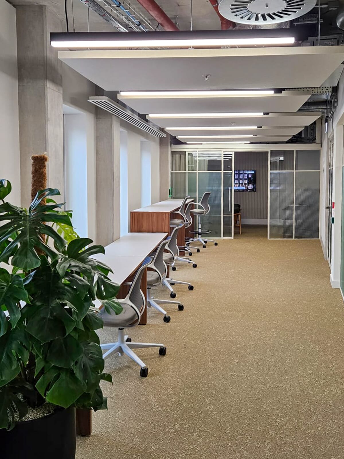 Open plan office workstations with acoustic panels on the ceiling