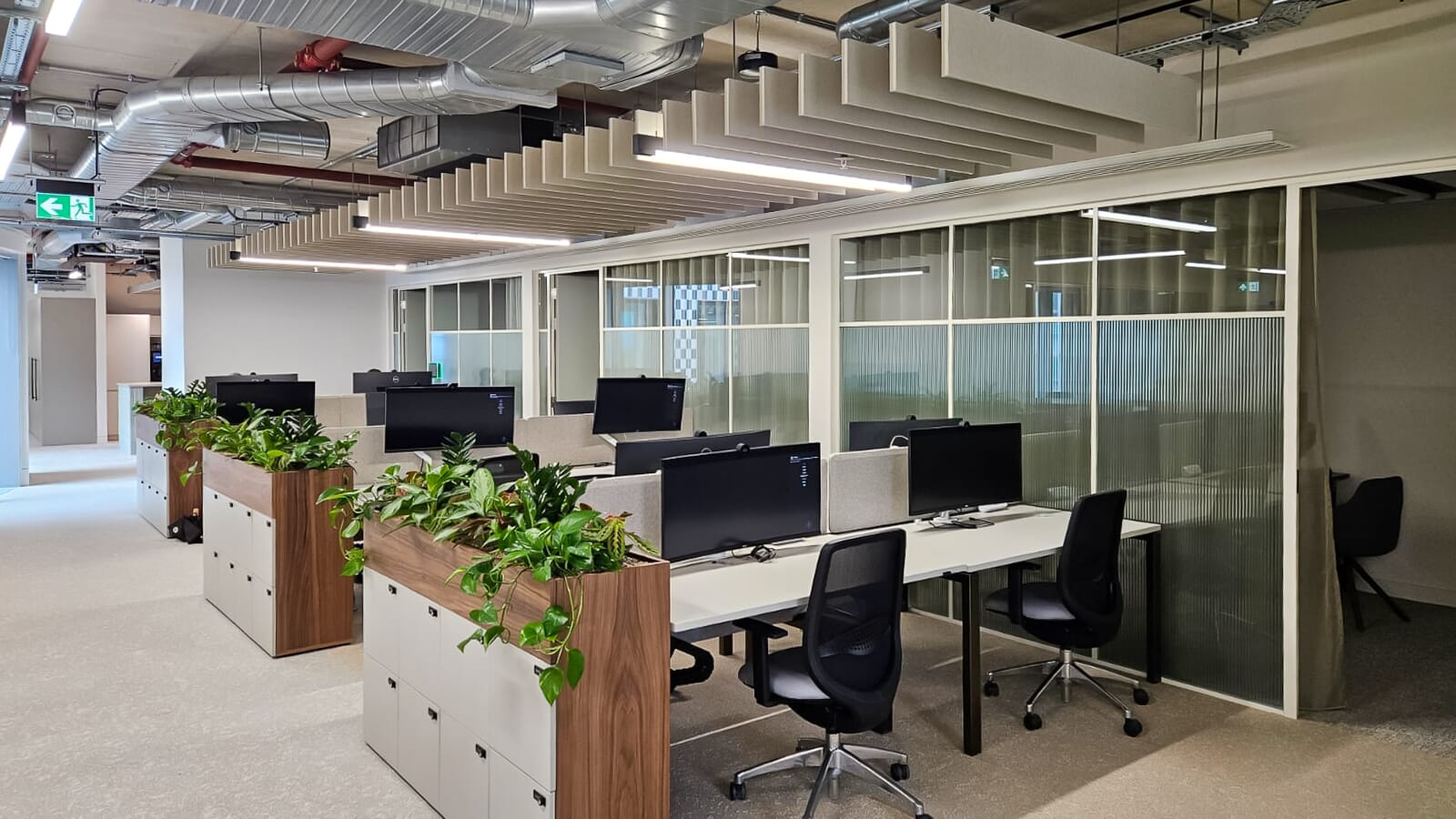 Open plan office workspace with acoustic baffles on the ceiling