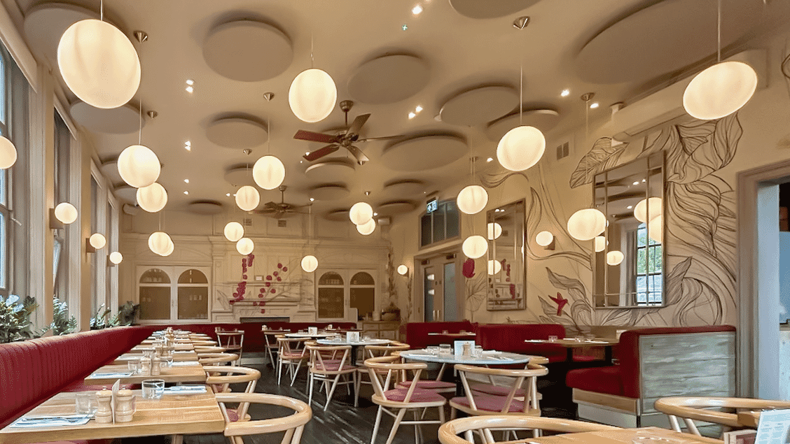 Acoustic panels installed on the ceiling at Mallow Borough Market to improve acoustic comfort in their dining room