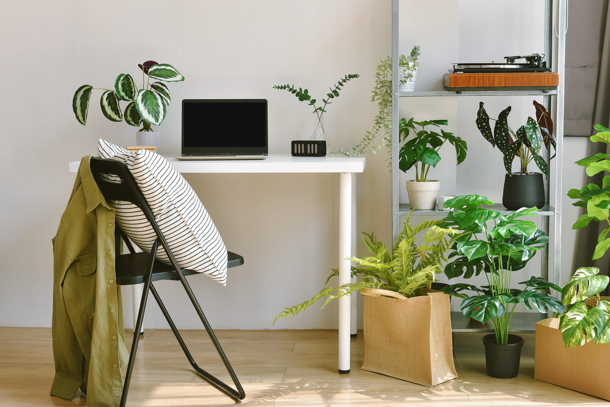 Home office decorated with green plants that help to stop echo in a room