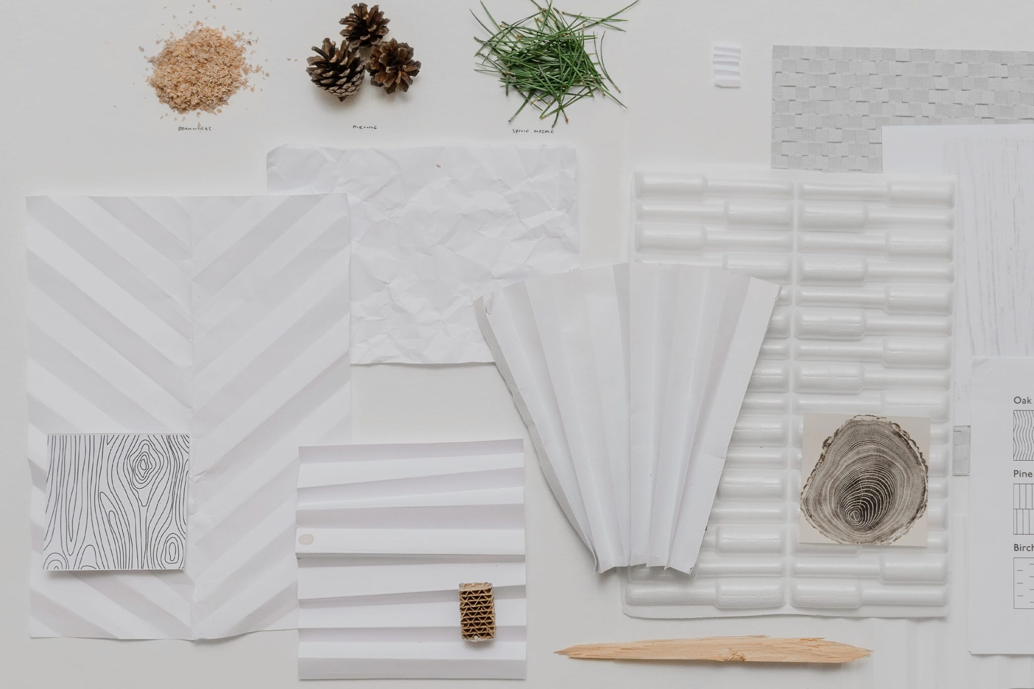 BAUX-Acoustic-Pulp-photoshoot-factory